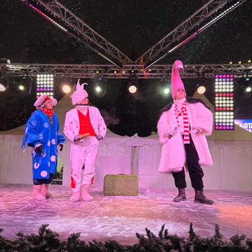 Новогоднее чудо в Ледовом городке